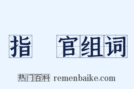 指揮官组词是什么意思的图片